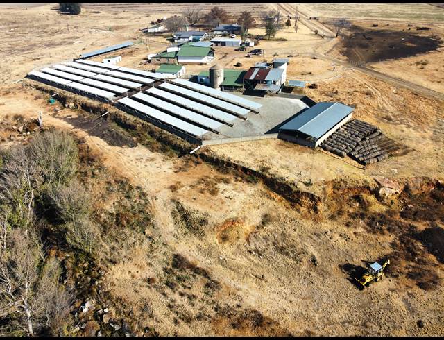 252HA FARM FOR SALE IN BETHLEHEM RURAL